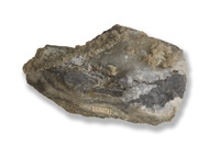 M 01138
<br/>
<br/>
<em></em>